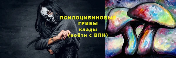 крисы Балахна