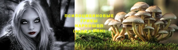 не бодяженный Баксан