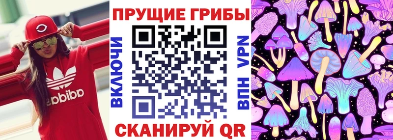 Галлюциногенные грибы MAGIC MUSHROOMS цены наркотик Солигалич
